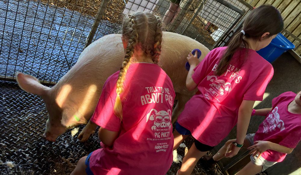 Three children grooming a pig at Farm-Fest.